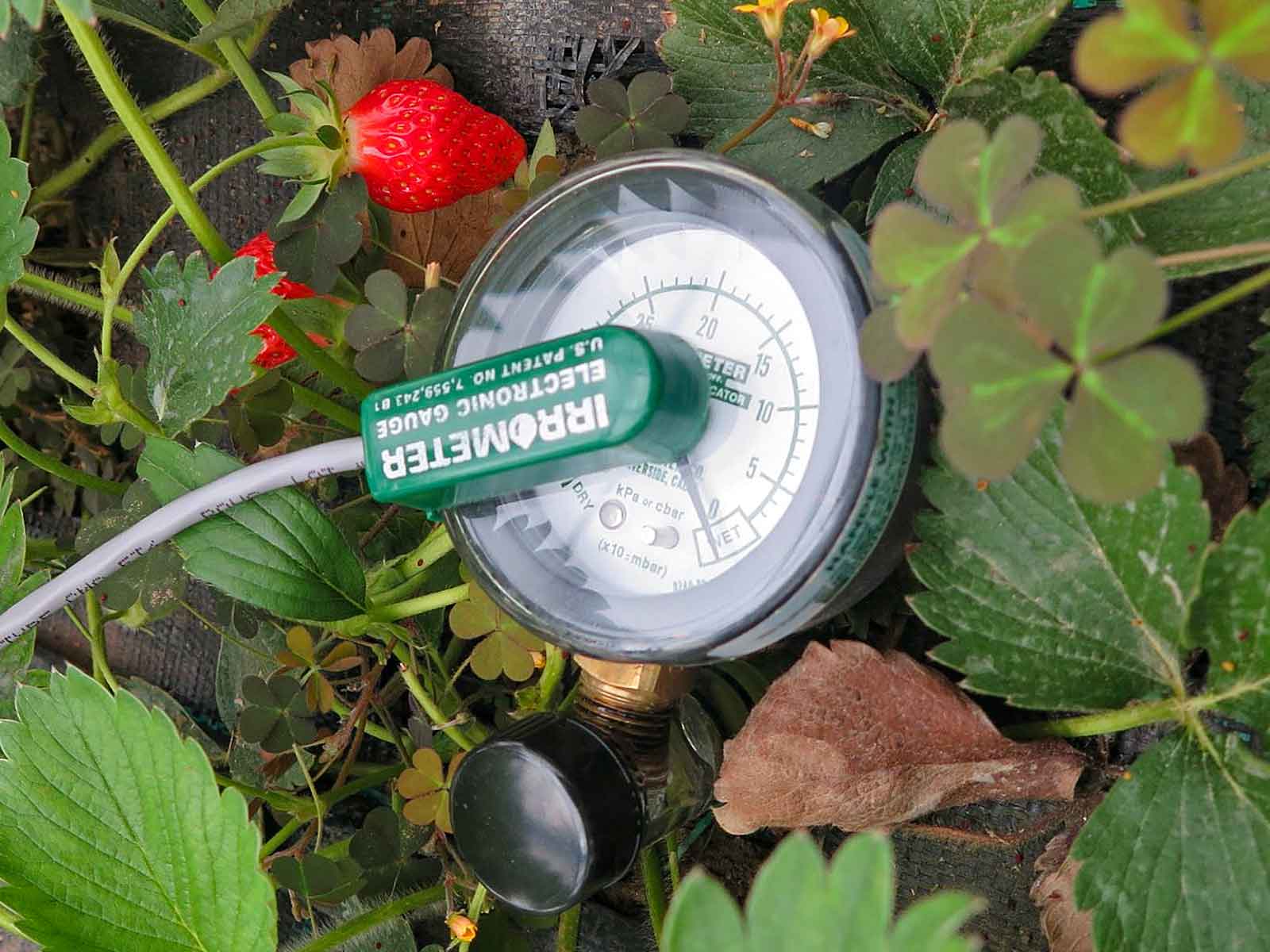 Condition Monitoring in der Landwirtschaft • Ein Tensiometer überwacht die Bodenfeuchte und sendet die Daten an das IoT Edge Gateway DATAEAGLE 7000.